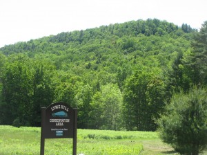 Lyme Hill sign
