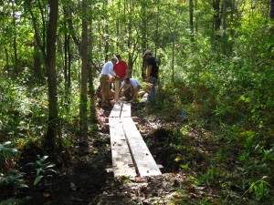 Bog Bridge Building