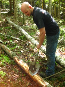 Rock Stars peeling a tree!