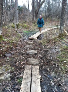 New trail stones.