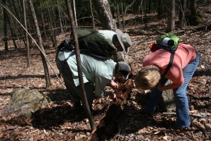 Looking for insects.