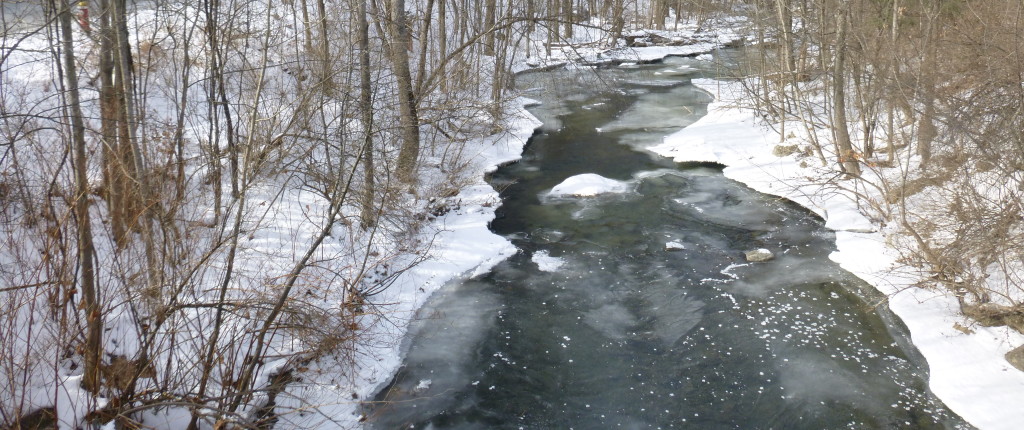 Mink Brook, Hanover