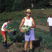 Harvest on Cobb Hill Farm_for web