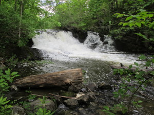 23 Cascade by old mill site on Clay Brook