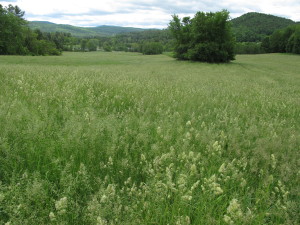 37 View southwesterly from mid-upper NE field