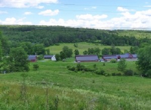 View of barns for press release