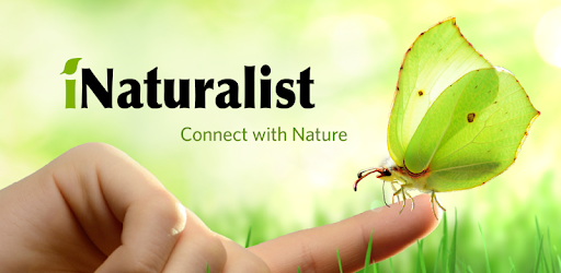 iNaturalist