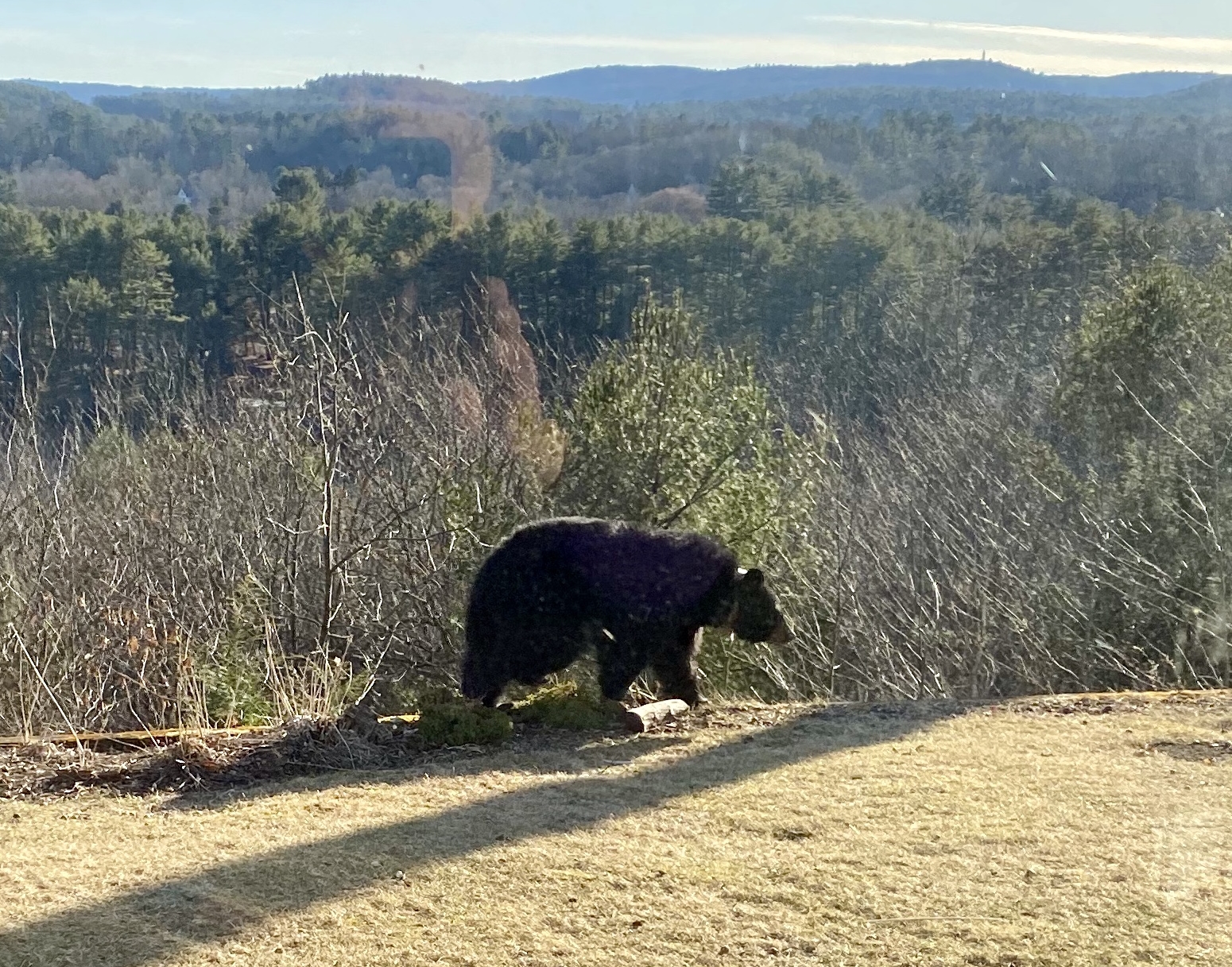 Goodbye Mink - Upper Valley Land Trust