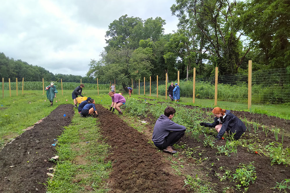 Camp Conniston Working at the Food Pantry Garden