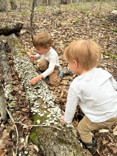 Children exploring nature.