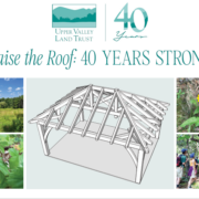 Raise the Roof Invitation Raise the Roof Invitation