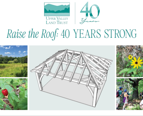 Raise the Roof Invitation