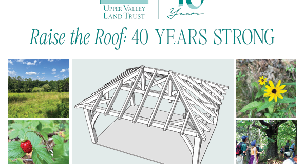 Raise the Roof Invitation
