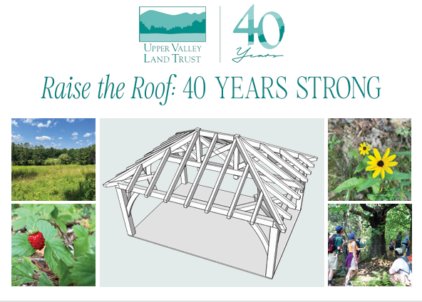 Raise the Roof Invitation
